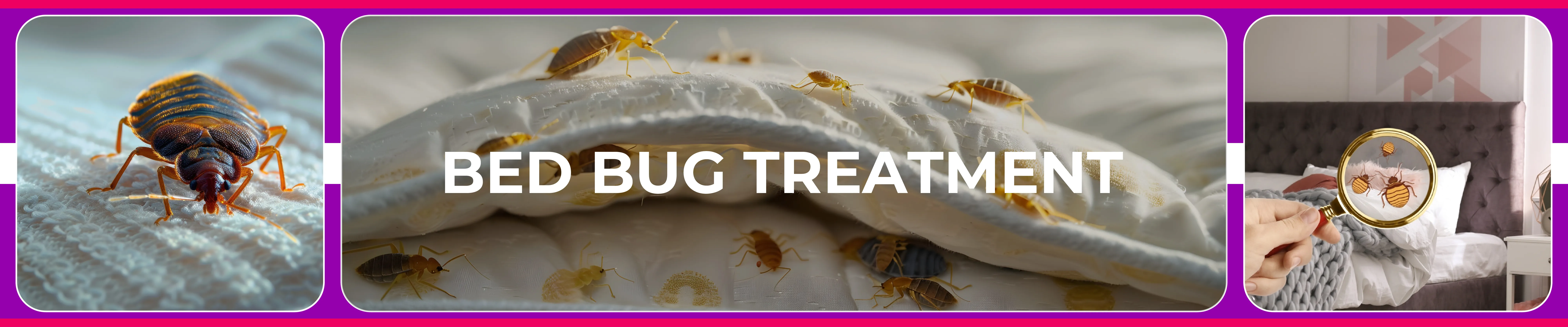 carpet cleaning in new york, carpet cleaning new york, carpet cleaners in new york, carpet cleaners in new york, commercial carpet cleaning, commercial carpet cleaning in new york, new york rug cleaners, rug cleaning services in new york, same day carpet cleaning, same day rug cleaning in new york