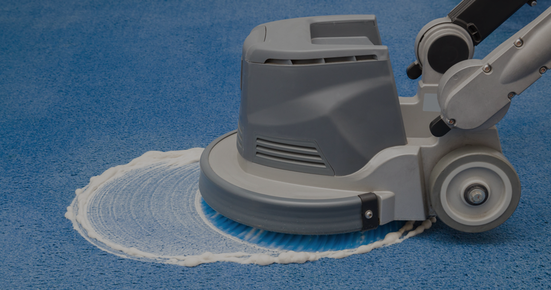 carpet cleaning in new york, carpet cleaning new york, carpet cleaners in new york, carpet cleaners in new york, commercial carpet cleaning, commercial carpet cleaning in new york, new york rug cleaners, rug cleaning services in new york, same day carpet cleaning, same day rug cleaning in new york